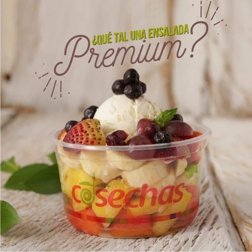 Ensalada de Frutas Cosechas Premium